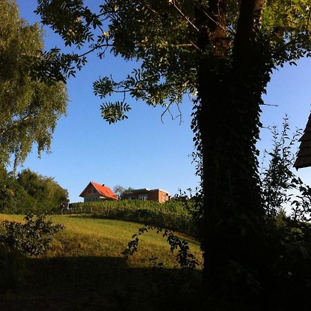 Ferienhaeuser Im Weingarten Fehring Buitenkant foto