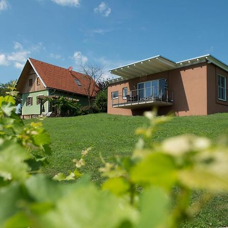 Ferienhaeuser Im Weingarten Fehring Buitenkant foto