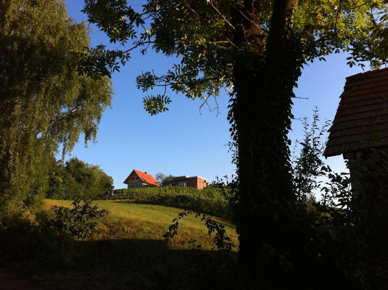 Ferienhaeuser Im Weingarten Fehring Buitenkant foto