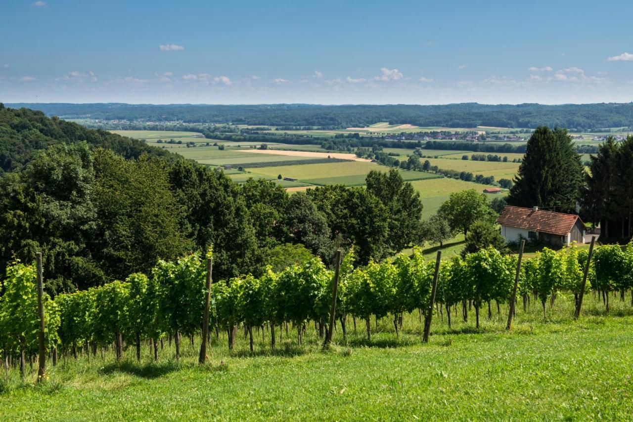 Ferienhaeuser Im Weingarten Fehring Buitenkant foto